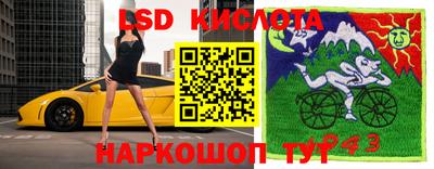 прущие грибы Конаково