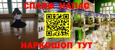 прущие грибы Конаково