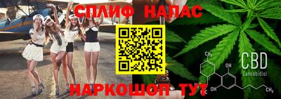 прущие грибы Конаково