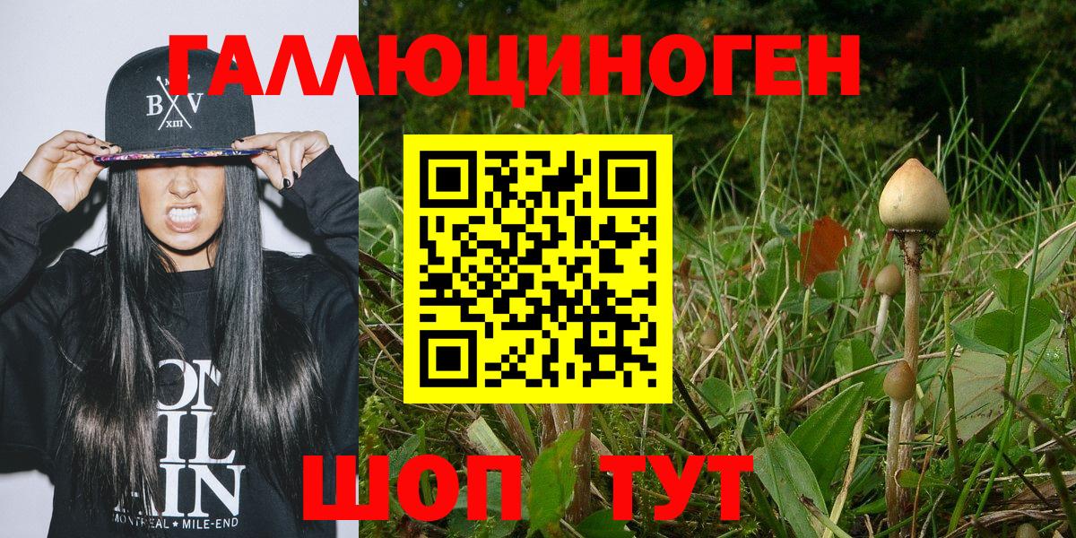 Псилоцибиновые грибы мухоморы Керчь